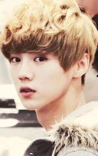 明星鹿晗的照片