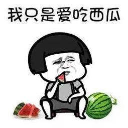 全网吃瓜娱乐,揭秘娱乐圈幕后故事与热点事件