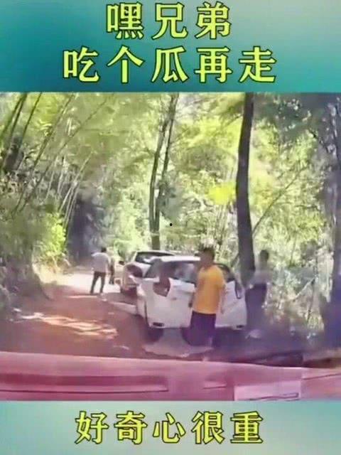 吃瓜群众出处和来源,从“吃瓜群众”起源探析网络流行语的演变轨迹